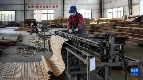 粤桂携手共绘振兴画卷 园林工艺远销海外，便民服务配钥匙